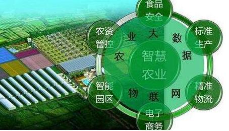 湖北建設農業大數據助農節本增效