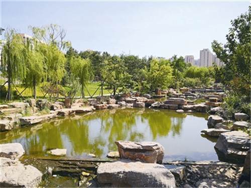 “以前是‘垃圾場’，現在成了休閑公園”