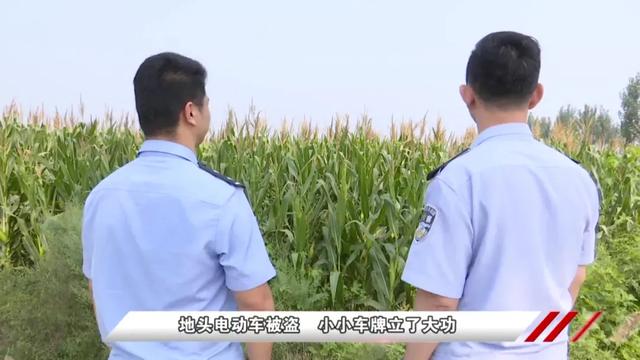 「小案偵防」棒子地里電動車被盜，小小車牌立了大功