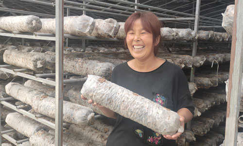 南召縣喬端鎮馬別灣村：開足“馬力”告別貧困
