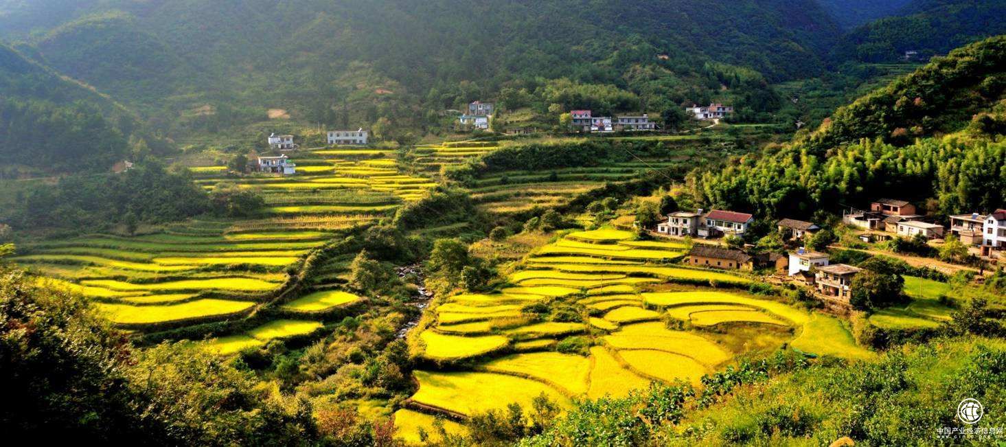 文化和旅游部：鄉村旅游總收入已恢復往年同期的9成多 