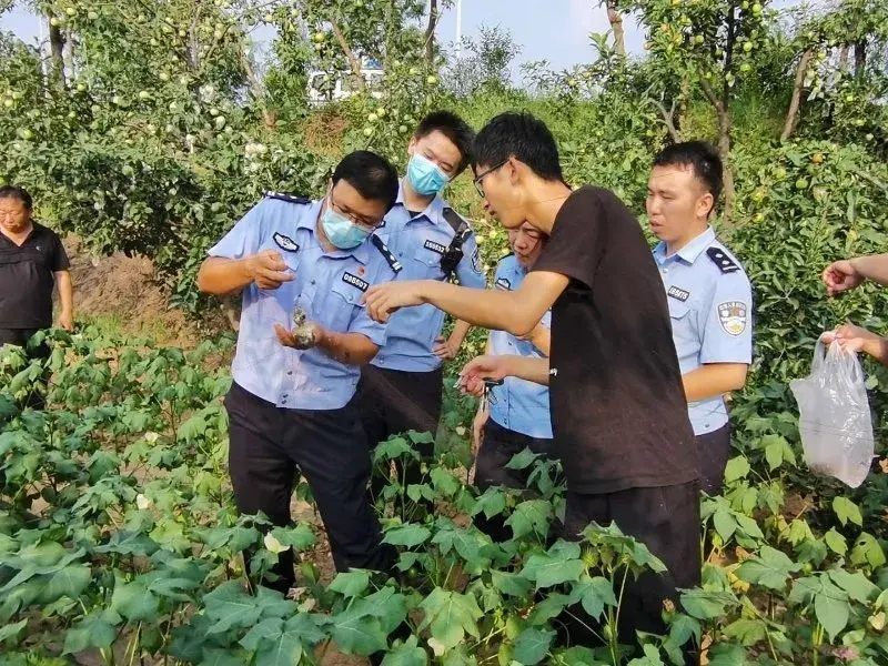 刑事犯罪丨武城兩男子私自架設捕鳥粘網非法狩獵，近百只小鳥慘遭“毒手”！