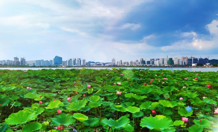 2020中國休閑度假大會召開 推動產業發展助力旅游復工復產