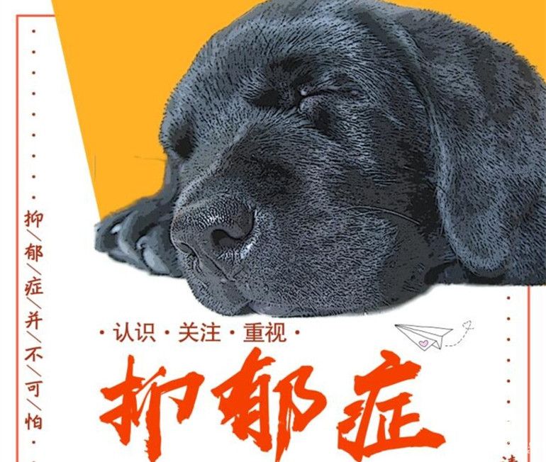 抑郁癥學生普篩，為主動“擁抱”探路