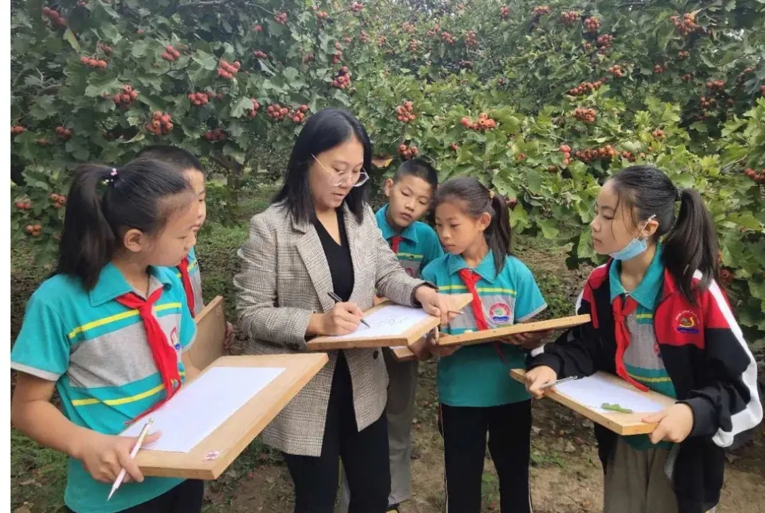 飄香在山楂林中的美術課堂——張申小學開設“果蔬育人”特色課程