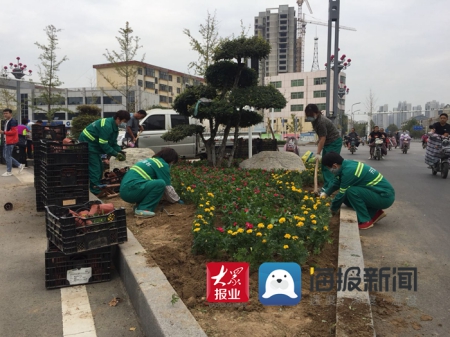 歡喜迎雙節！鮮花綠植扮靚菏澤街頭