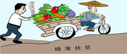 農發行德州市分行積極支持