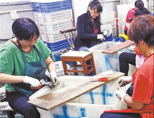長三角推進農業一體化升級——滬蘇浙皖聯手“云拼”大閘蟹