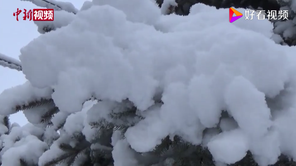 大興安嶺滿歸林區積雪超20厘米