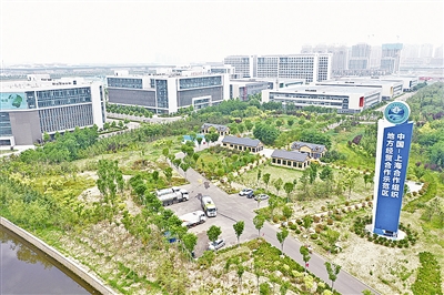 開放的青島，鼓蕩城市躍遷澎湃浪潮