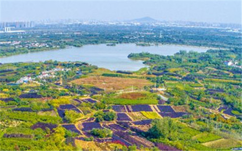 安徽新增9個地理標志農產品 總數達到101個