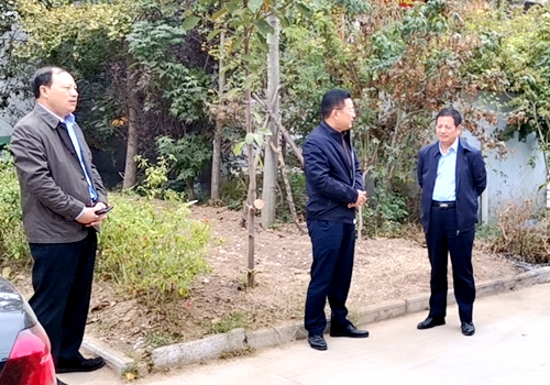 郯城縣政府副縣長李曉法到歸昌鄉督查農村人居環境整治工作