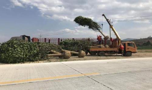 20201013173147232.jpg 4.jpg