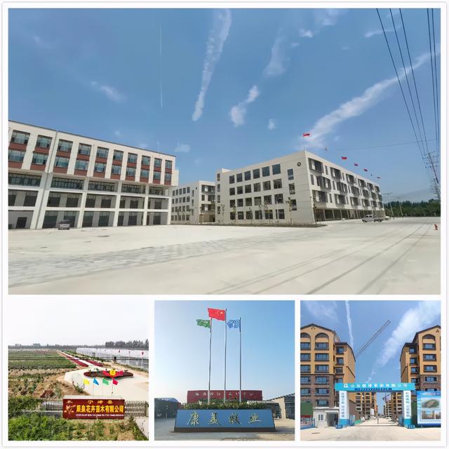 寧津縣大柳鎮：黨建引領 改革創新 探索發展新模式