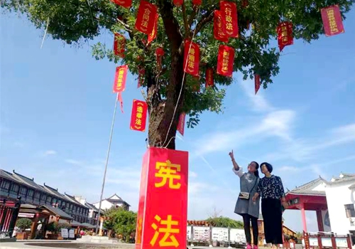 郯城縣馬頭鎮：百年古槐結出“樹法”碩果