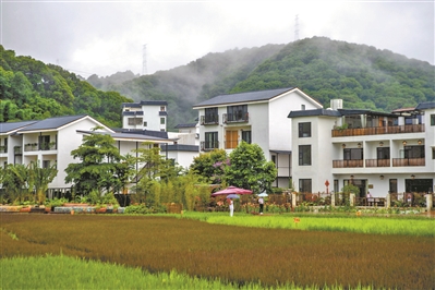 第二屆聯合國人居大會召開 關注可持續的城市未來