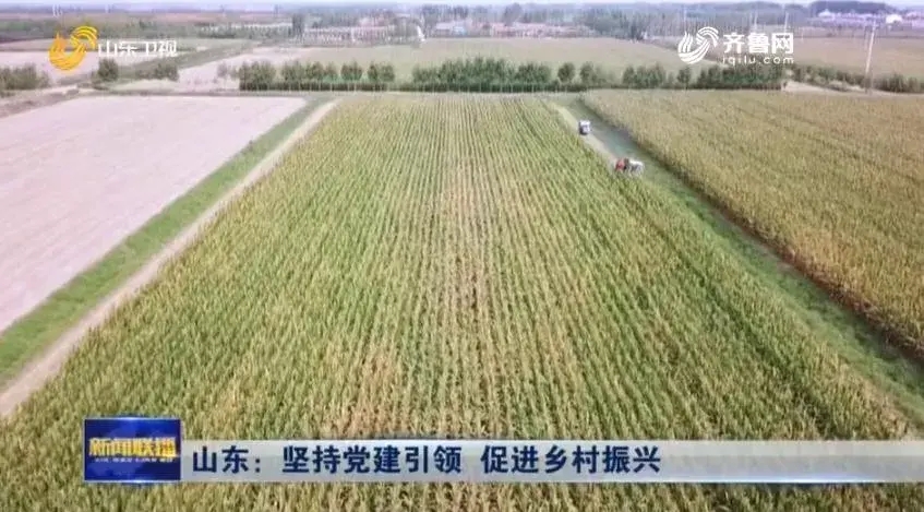 德州實行村黨組織領辦土地股份合作社 農民、集體實現“雙增收”
