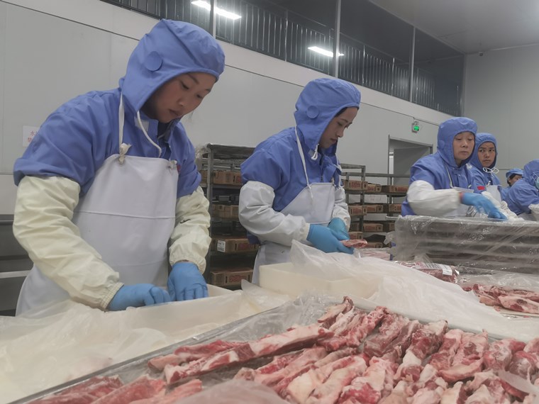 菏澤沙土鎮：技改擴能效益增