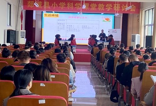 郯城縣科學教學研討活動在楊集鎮中心小學舉行