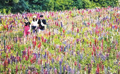 旅游扶貧 做大幸福產業