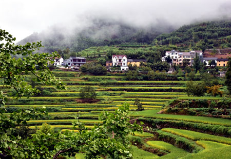 生態文明建設擦亮綠色發展底色