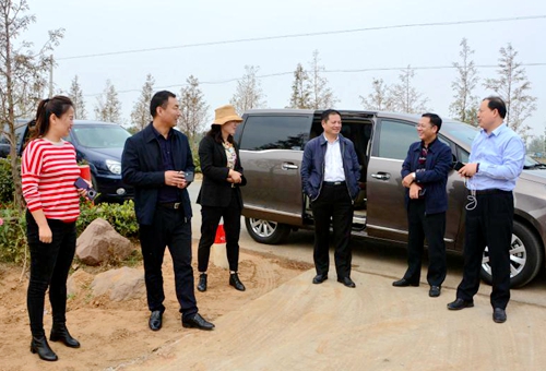 郯城縣副縣長李曉法到歸昌鄉檢查水稻收割進展情況