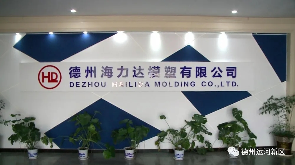 德州海力達模塑有限公司：創新驅動 引領企業高質量發展
