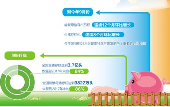 生豬產量持續恢復 產業轉型壓力猶存