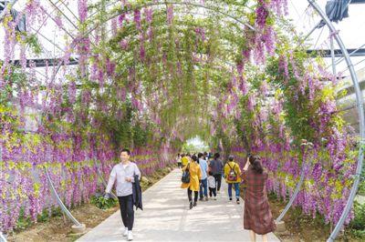 產品類型不斷增多 鄉村旅游越來越紅火