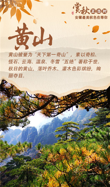 賞秋正當時！安徽最美秋色在等你