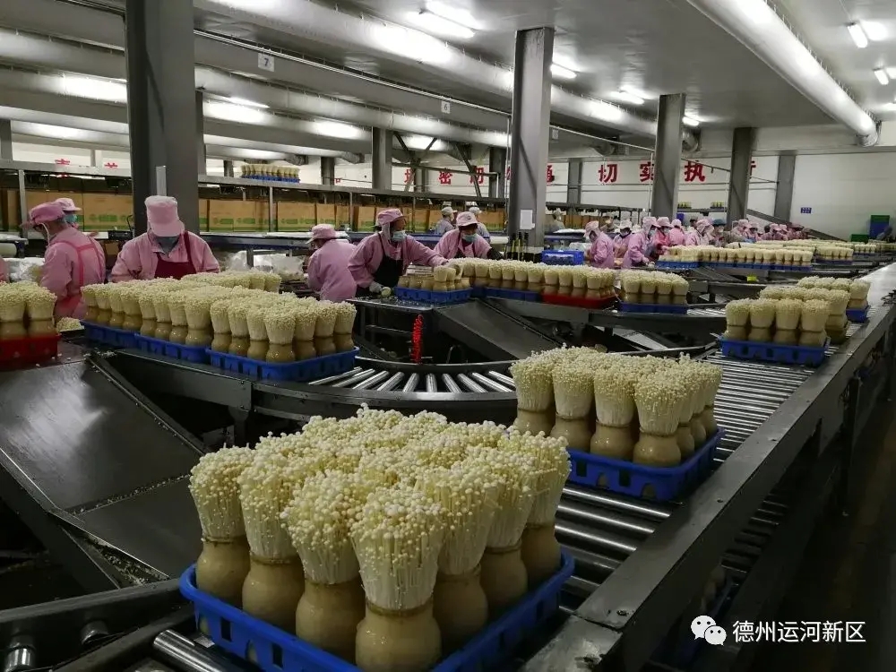 德州運河經濟開發區 ： 聚焦主責主業 全力爭先進位