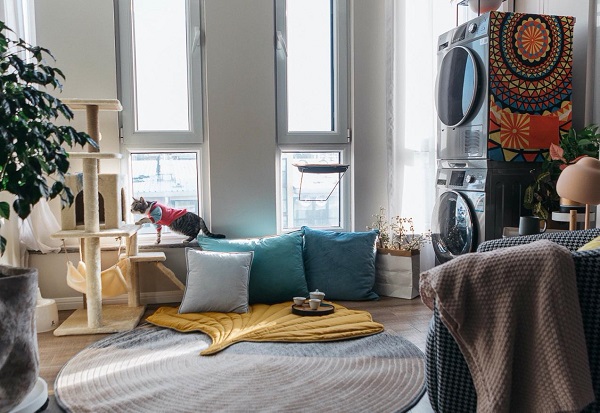 20201102104218147.jpg 3.jpg