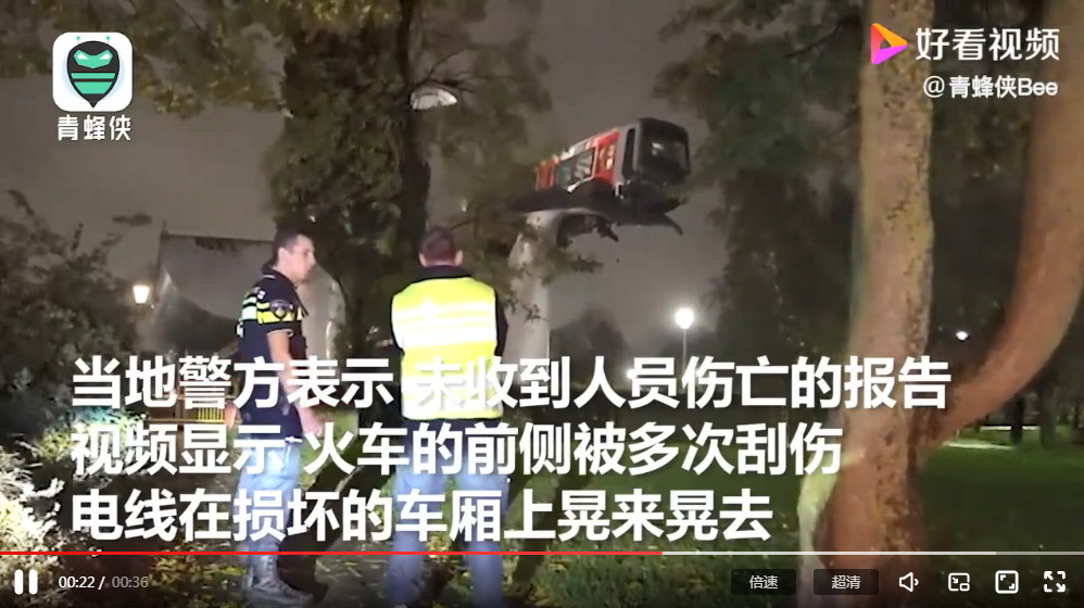 荷蘭輕軌沖出軌道被鯨魚雕像接住