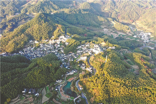 美麗鄉村景如畫