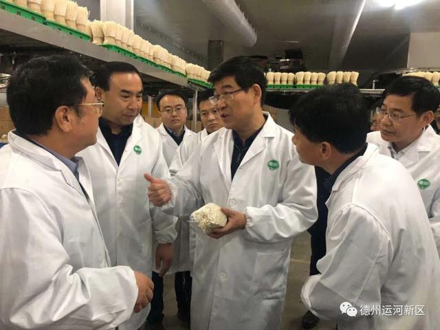 李猛到山東雪榕生物科技有限公司調研
