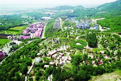 青島：建成30個以上超10億元產業強鎮 建成7條百億級種養規模化產業鏈