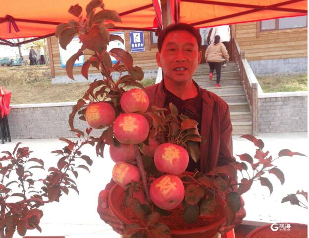 舊店果農玩轉“藝術蘋果” 蘋果上貼“吉祥字” 身價翻兩番