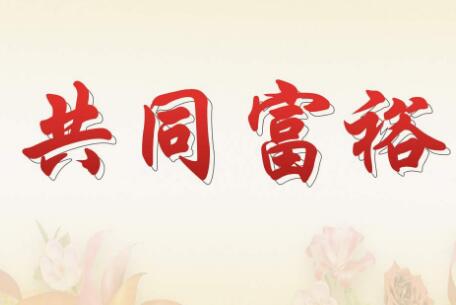 我國將多舉措“扎實推動共同富裕”