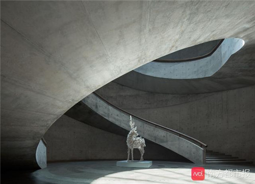 20201104094322929.jpg 9.jpg