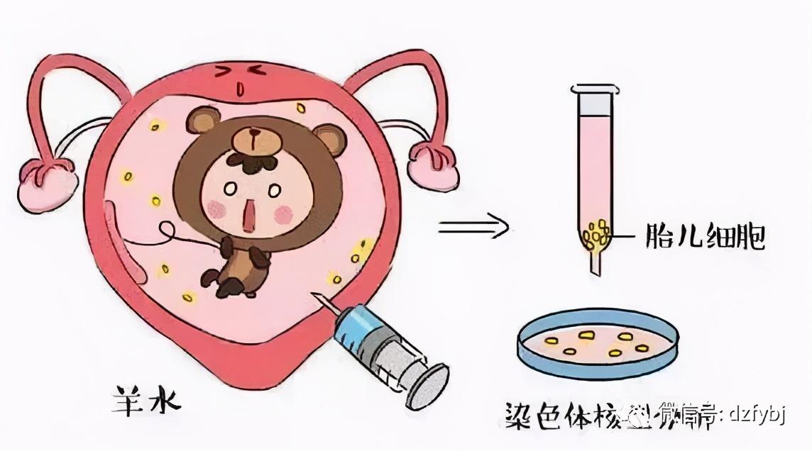 【德州市婦幼保健院專家談】男女有別，但是你知道雙性人嗎？