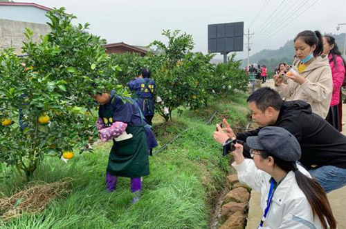 20201105134837313.jpg 2.jpg