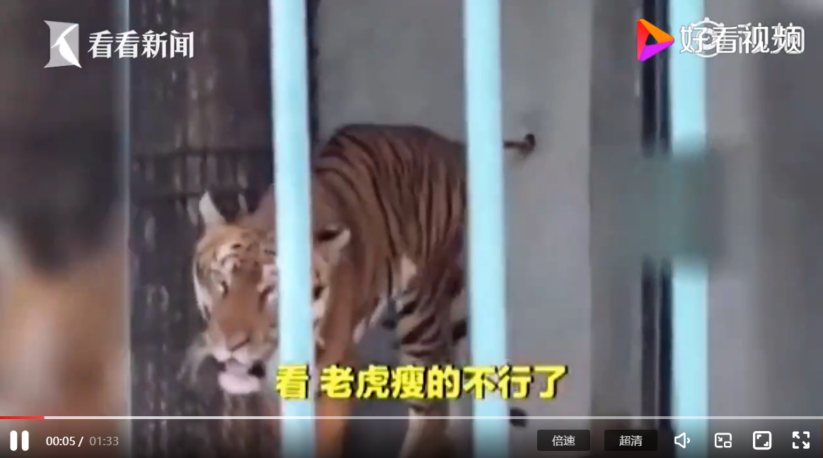 廣州動物園回應老虎“挨餓”