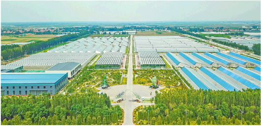 扛牢大省責任，奮力打造鄉村振興齊魯樣板