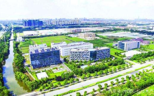 “大手”拉“小手”創新型產業集群建設加速