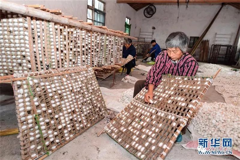 全國“一村一品”示范村鎮名單公布 海安新豐村入選