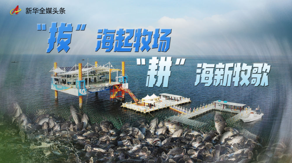 “拔”海起牧場  “耕”海新牧歌