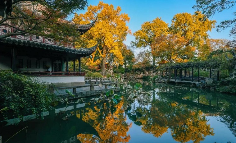 秋色染留園，美醉了！