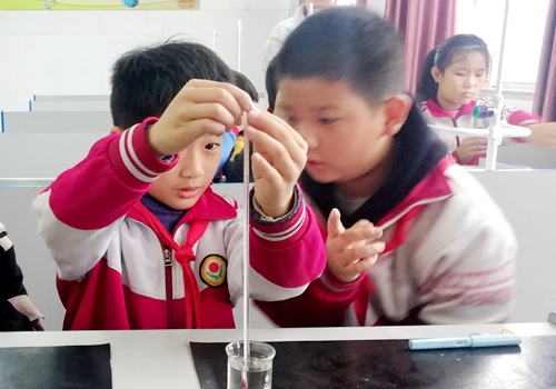 郯城縣歸昌鄉小學開展科學實驗操作技能大賽