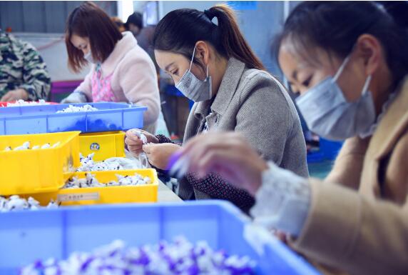 內蒙古制定發布“就業促進行動”4個清單