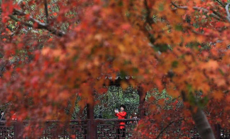 紅葉絢爛